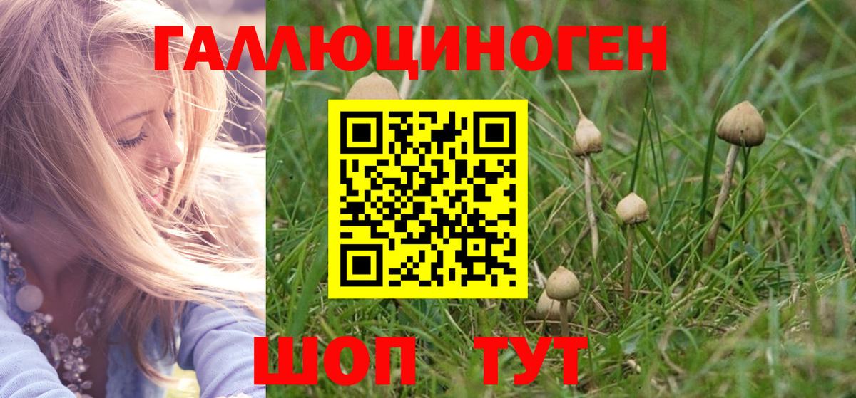 Клинцы  купить наркотик  Галлюциногенные грибы прущие грибы  Вход с VPN  Псилоцибиновые грибы MAGIC MUSHROOMS 