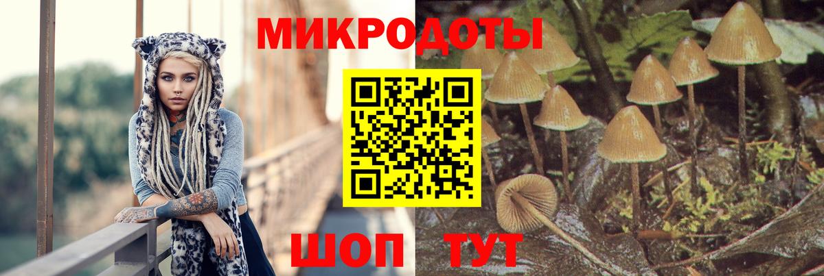Псилоцибиновые грибы Cubensis Клинцы